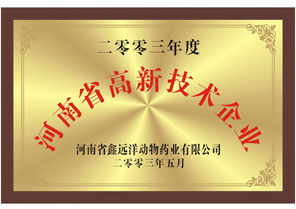 高新技术企业